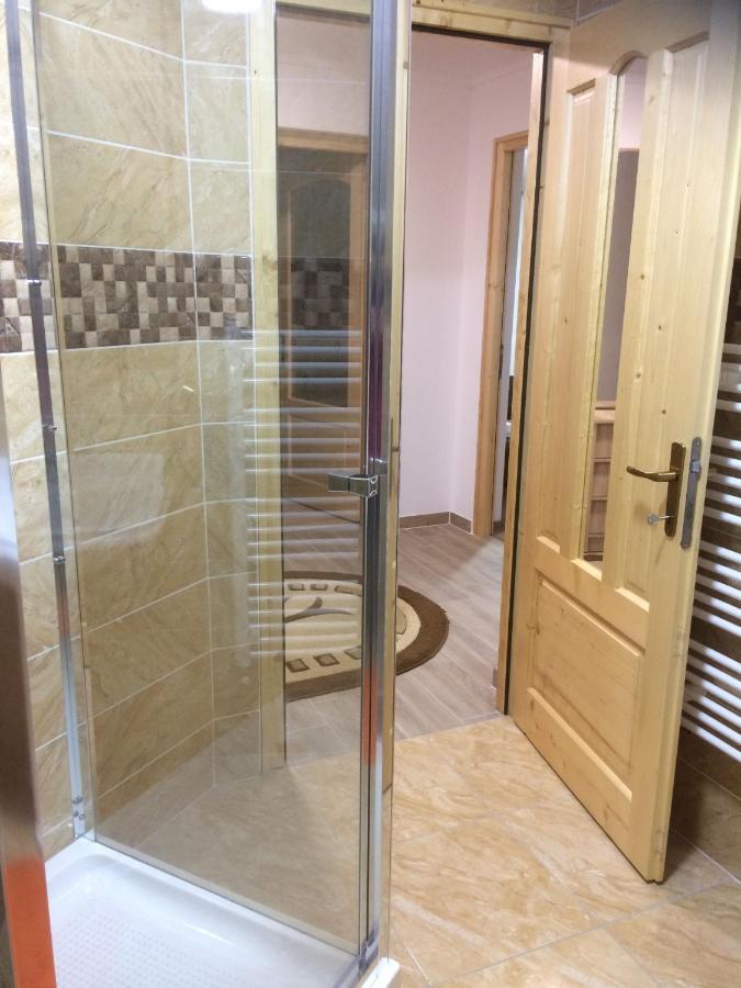 Апартаменти Vila Floarea De Colt Борша Екстер'єр фото