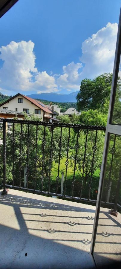 Апартаменти Vila Floarea De Colt Борша Екстер'єр фото